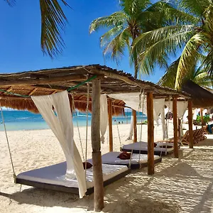  Apartment Caribbean